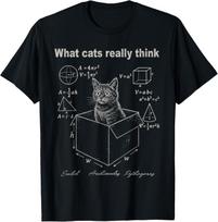 Katė dėžėje Matematikos humoras Marškinėliai Juokingi loginiai formulių grafiniai marškinėliai moterims Laisvalaikio moteriški drabužiai Mada Vasaros gatvės apranga Medvilnė 4XL gray