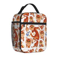 Insulated Lunch Tote Bag Warriors Fireheart Rusty Cats Unique Design Cartoon Cooler Thermal Lunch Boxes with Handle For School One Size black