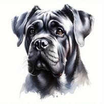 Cane Corso Dog Self-Adhesive Vinyl Decal, Used for Car Windows, Bumper, Laptops, Waterproof Exterior Car Accessories 10cm-Longest Side
