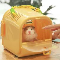 Hamster Carry Case Cage Habitat Breathable Travel Small Animal Carry Case for Ferrets Chinchilla Vacation Dwarf Hamster Squirrel geltona