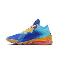 Nike Space Jam x LeBron 18 Low 'Wile E. x Roadrunner' CV7562-401 EU 42 auksas/mėlyna