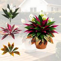 Atspari UV spinduliams Rudeninis Dirbtinis Drakono Kraujo Medis Atsparus Blukimui Vešlūs Lapai Imituotas Drakono Kraujo Šakojos Gyvas Tikras Liesti black