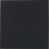 Thermal Grizzly Minus Pad Advance 100 x 100 x 1.0 mm, 2 pack