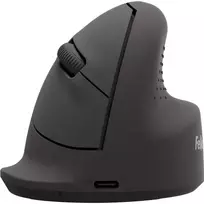Fellowes 100143579 kompiuterio pelė Universalus Dešinės rankos Bluetooth + USB Type-C Optinis 1600 DPI