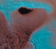 LP PINK FLOYD Meddle (Remastered, 180g) Vinilinė plokštelė