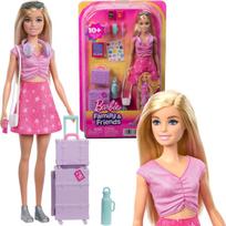Lėlė Barbie Family & Friends Malibu: Limitless Adventure Mattel, JMJ47
