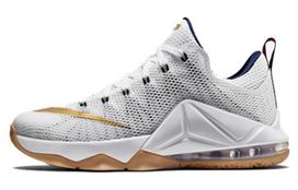 Nike LeBron 12 Low Usa 724557-174 43 white