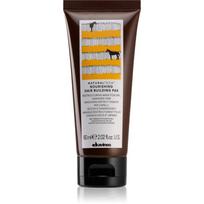 Davines Naturaltech Nourishing kaukė sausiems ir pažeistiems plaukams 60 ml
