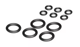 Rinkinys Ryobi slėginių plovyklų sandariklių 5132005537, 10 dalių