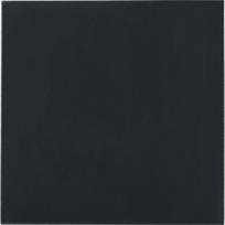 Thermal Grizzly Minus Pad Advance 100 x 100 x 1,0 mm 2pcs