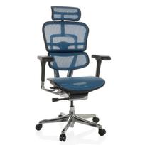 Biuro kėdė Ergohuman ELITE BS BLUE