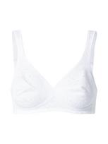 TRIUMPH Liemenėlė balta