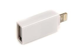 OTG adapteris USB 3.0 AF – Lightning, 0.1 m, baltas