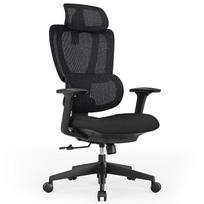Ergonomiška biuro kėdė su galvos atrama ir juosmens atrama, juoda