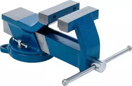 Bgs Technic Spaustuvai plieniniai | grūdinti | 100 mm lūpos (58110)