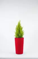 Adoni Medvilninis lėlės namelis raudonas su įdėklu 36 cm – rankų darbo (adoni-ba-red-36)
