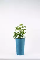 Adoni mėlynas džiuto vazonas su įdėklu 22x36 cm - rankų darbo (adoni-blu-36)