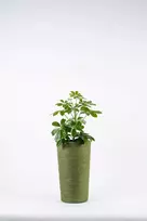 Adoni žalias džiuto vazonas su įdėklu 22x36 cm - rankų darbo (adoni-grn-36)
