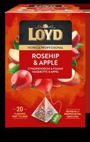 Vaisinės arbatos gėrimas LOYD HORECA, VZTLOY5900396034663