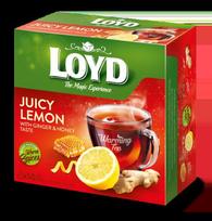 Vaisinės arbatos gėrimas LOYD imbiero ir, VZTLOY5900396037718