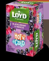 Vaisinis arbatos gėrimas LOYD HOT&COLD, VZTLOY5900396036339