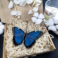 Butterfly Hanging Suncatcher Acrylic Butterfly Light Catcher Pendants, Home Balcony Living Room Hanging Decorations, Outdoor Patio Butterfly Decor mėlyna
