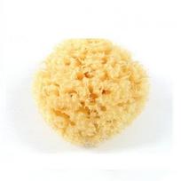 Natūrali kempinė Klasikinė/C007 beige