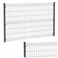 Tvoros segmentas, 4 mm, 1,53 x 2,5 m, juoda (RAL 9005)