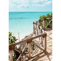 Summer Sunshine Beach Surfing Canvas Printing Tropical Jungle Palm Tree Bus Car Sea View Wall Art Poster for Modern Home Decor 21X30CMNo Framed blue