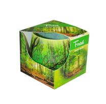 KVEPIANTI ŽVAKĖ FOREST Stikliniame indelyje Gaivaus aromato