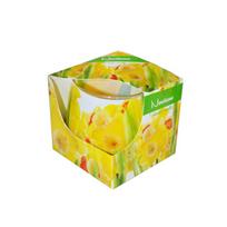 KVEPIANTI ŽVAKĖ NARCISSUS Narcissus Stikliniame indelyje