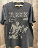 T-Rex Band Gift For Fan All Size S to 5XL T-shirt Unisex T-Shirt XXXXL gray