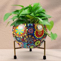 Large Metal Flower Vase Pot With Iron Stand, Pots For Plants - 9.8 X 9.8 Inch įvairiaspalvis