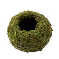 Yousheng Moss Ball Flower Pot Creative Natural Moss Planter Decorative Bonsai Plant Holder for DIY Gardening Home Table 5cm žalia