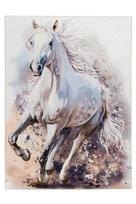 Kilimas Sympathy , 120x170 cm, baltas