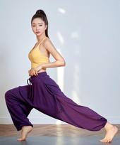 VENDIS Yoga Healing Pants Grapefruit/M beige