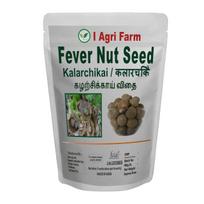 Iagrifarm Fever nut Seed- 250 gram/Sagargota/Kalarchikai/Kantkarej Seed gray