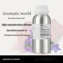 Hotel Fragrance Diffuser Oil Refill - 500ml CN plug (adapter included) gray