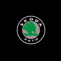 2 vnt. automobilio durų pasitikimo šviesos LED HD projektoriaus lempos, mandagumo žibintai, skirti Skoda VRS Kodiaq Karoq RS Superb Octavia Yeti Fabia Rapid hkjn65 gray