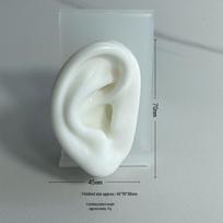 Silikoninis žmogaus ausies modelis auskarų vėrimo praktikai ir eksponavimui Food grade silicone, milky white mold gray
