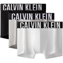 CALVIN KLEIN Vyriškos kelnaitės 3 vnt. pakuotė NB3608 M balta