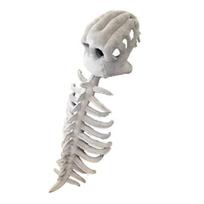 Dinozauro skeletas kostiumas realistiškas pliušinis 3D dinozauro kaukolės galvos apdangalas ir stuburo kostiumo rinkinys Helovino kosplėjui 90 cm white