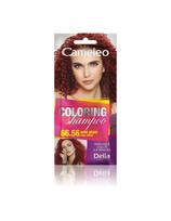 Delia Cosmetics Cameleo dažantis šampūnas 66.56 Vilošalė