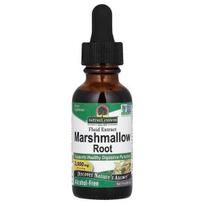Marshmallow Root, 2000mg - 30 ml - Nature's Answer