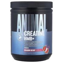 Creatine HMB+, Dragon Berry - 327g - Animal