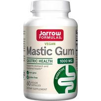 Mastic Gum - 60 vcaps - Jarrow Formulas