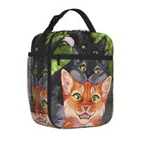 Warriors Fireheart Graystripe Cats Carry Thermal Cooler Bag Ravenpaw Reusable Insulated Lunch Bags Causal Container Box School One Size black