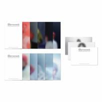 G draGon 26 Postcard Set black