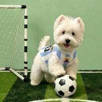 Pet Dog Soccer Jersey Vest Argentina Portugal Brazil France Team Support Outdoor Wear Small Medium Large Dogs L Weight: 814 lbs