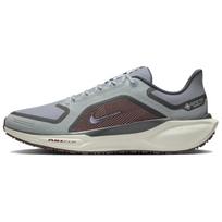 Nike Air Zoom Pegasus 41 Gore Tex 'Light Pumice Ashen Slate Burgundy' Sportbačiai FQ1356-003 39 gray